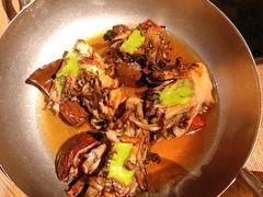 牛肝菌-毛辣果·酸(OHA复兴西路店)