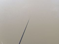 -会江钓鱼钓虾烧烤场