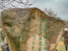 -香雪海