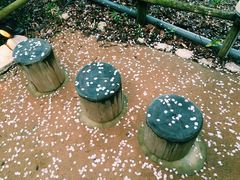 -南紀白浜 浜千鳥の湯 海舟