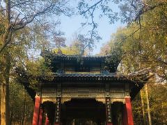 -紫霞湖公园