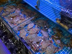 -渔民船说·北塘海鲜·天津菜·海肠捞饭(北塘古镇店)