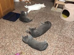 -杭州四季青面料市场有限公司