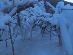 -大平台龙居瀑布旅游区