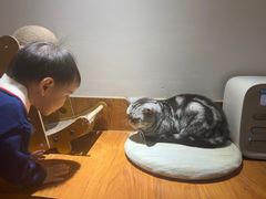 -有猫主题·治愈系猫咖(曾厝垵店)