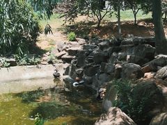 -南京老山国家森林公园