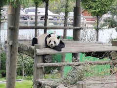 -西霞口神雕山野生动物世界