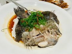 -圆苑(静安寺店)