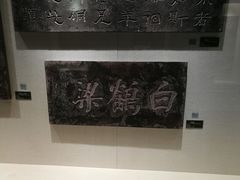 -白鹤梁水下博物馆