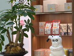 -长风拨筋养身(金虹桥店)