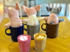 -WHEN PIGS FLY当猪飞