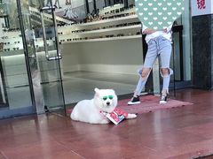 -横岗眼镜城