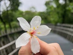 -福道