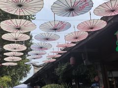 -安仁古镇