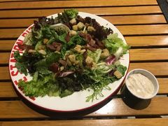 -Tubestation站点比萨(五道营店)