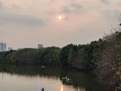 -海珠湖公园