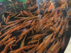 -千岛湖鱼味馆(十字街总店)