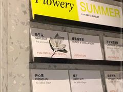 -Dip in Gelato(富民路店)