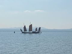 -贡湖湾湿地公园