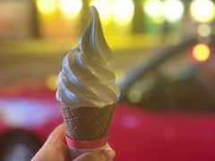 -富豪雪糕车流动点(尖沙咀)