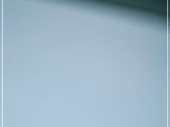 -杜优素羊杂碎(财满街店)