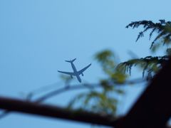 -嘉定紫藤园