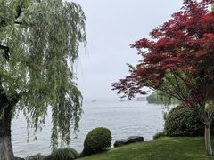 -浙江西子宾馆·瑶园咖啡厅