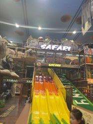 点击看大图 -卡通尼·Safari非洲探索乐园·生日会(金桥国际商业广场店)