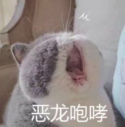 -TSO 慕尚·微潮派