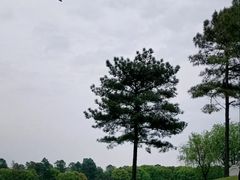 -美兰湖景区