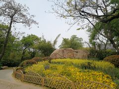 -采石矶景区
