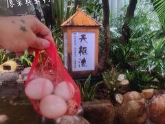 -泉眼温泉
