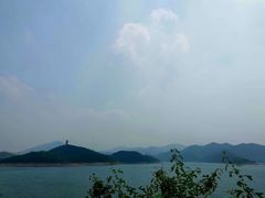 -望湖烤鱼