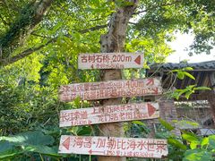 -南山植物园