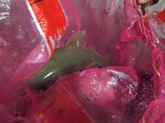 -蜀香川菜鱼庄(然乌店)