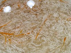 -冶春茶社(珍园店)