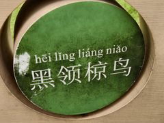 -东莞植物园