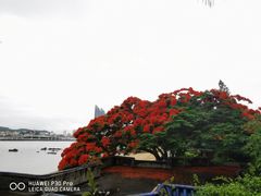 -鼓浪屿·皓月园