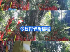 -七仙岭温泉国家森林公园