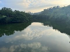 -大屏嶂森林公园