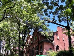 -云阿蛮云南生烫牛肉米线(奉贤路店)