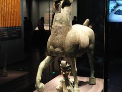 -广西壮族自治区博物馆