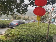 -听风阁农家私房菜茶楼(龙坞店)