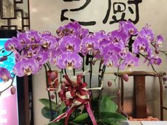 -顺峰海鲜酒楼(省府店)