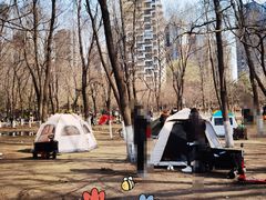 -长白岛森林公园