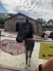 -造物庄园 萌宠纪(苏州湾歌林公园店)