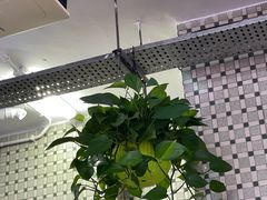 -义顺牛奶公司(板樟堂店)