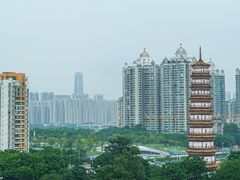 -小茶闲舍·观景商务茶馆(广州塔店)
