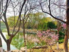 -大兴滨河森林公园