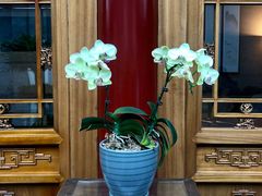 -北京古城老院厉晓麟精致菜